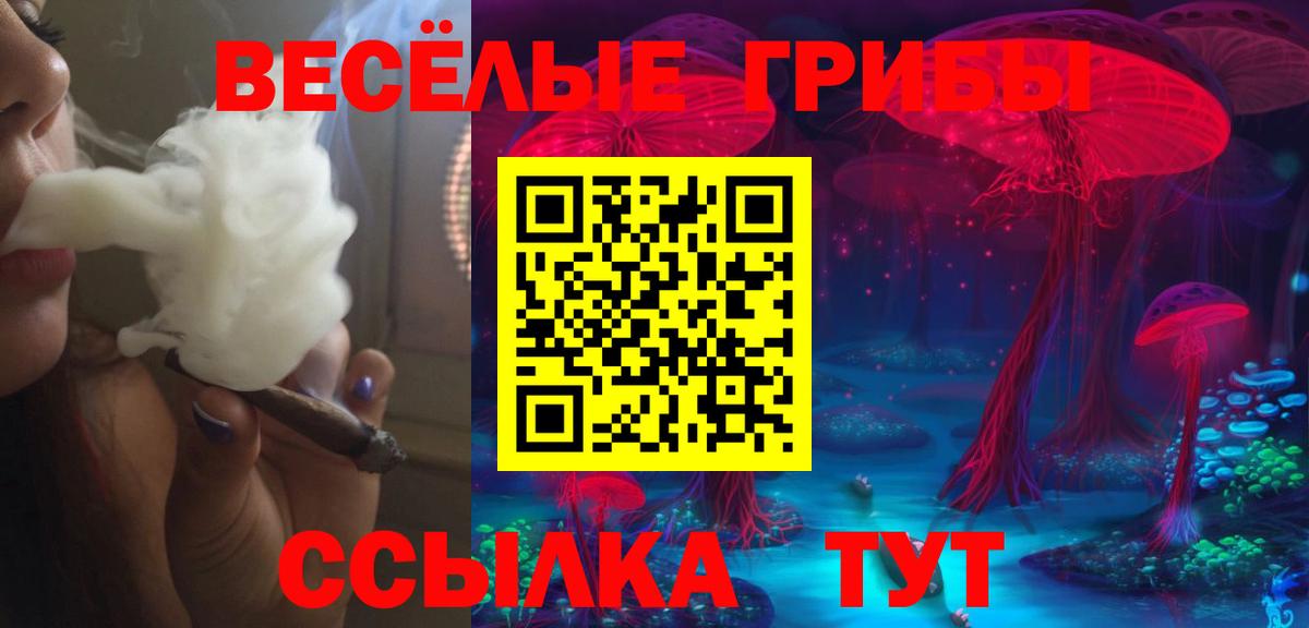 Галлюциногенные грибы GOLDEN TEACHER Улан-Удэ