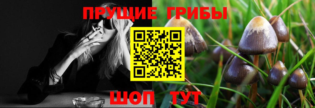 Псилоцибиновые грибы Psilocybine cubensis  Вход с VPN  Псилоцибиновые грибы Psilocybine cubensis  Улан-Удэ 